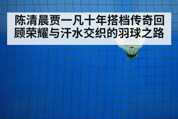 陈清晨贾一凡十年搭档传奇回顾荣耀与汗水交织的羽球之路