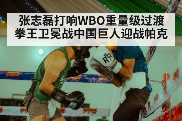 张志磊打响WBO重量级过渡拳王卫冕战中国巨人迎战帕克